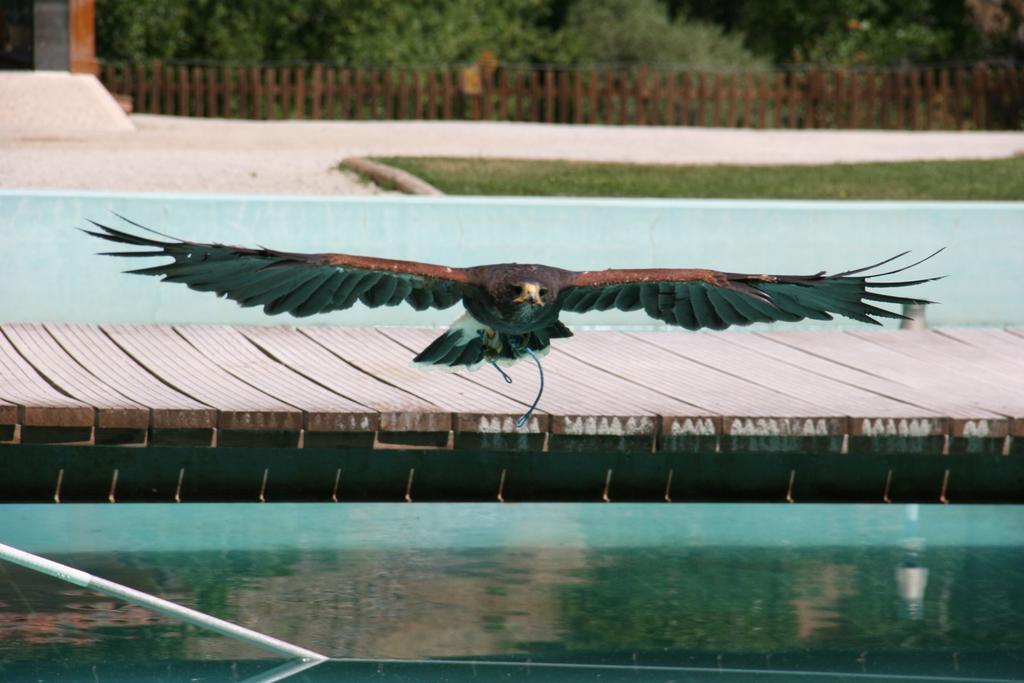 Quinta De La Barandica Guest House Миранда до Дуро Екстериор снимка